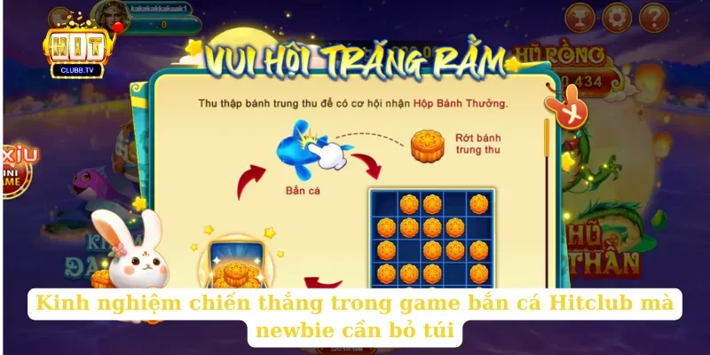 kinh-nghiem-chien-thang-trong-game-ban-ca-hitclub-ma-newbie-can-bo-tui