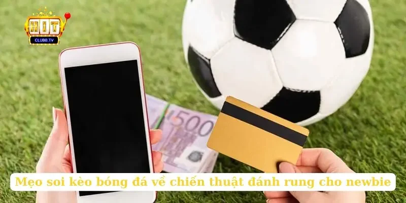 meo-soi-keo-bong-da-ve-chien-thuat-danh-rung-cho-newbie