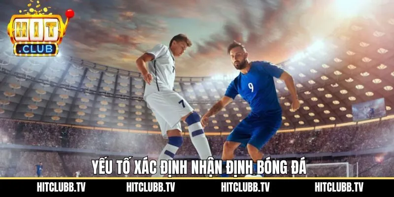 Hiểu rõ các yếu tố quan trọng trong quá trình nhận định 