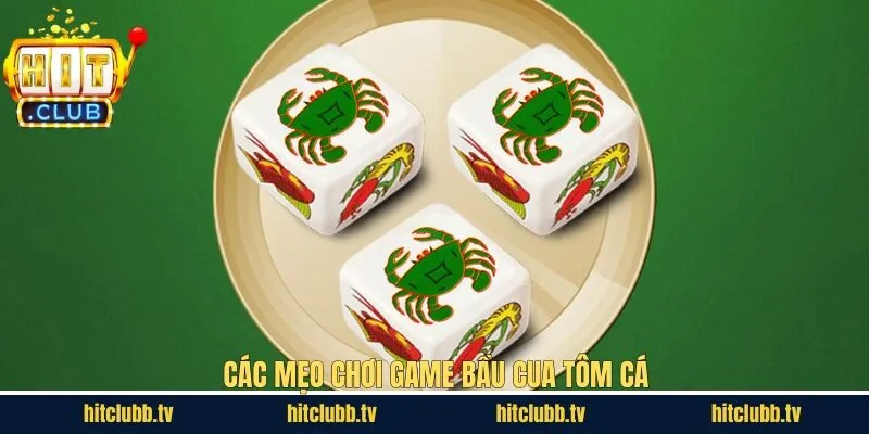 Kinh nghiệm chơi bầu cua hiệu quả nên tham khảo