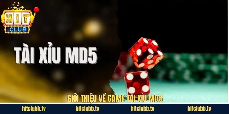 Khám phá vài nét về tài xỉu MD5 trực tuyến