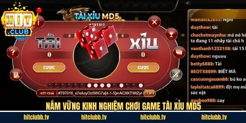 Mẹo cược tài xỉu phiên bản MD5 luôn thắng