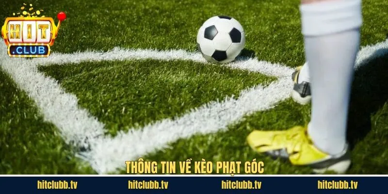 Khái niệm cơ bản về loại hình cá độ ăn khách